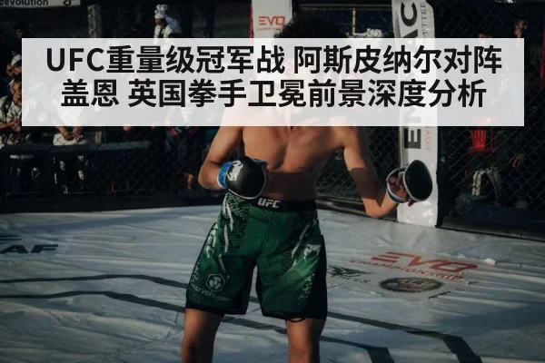 UFC重量级冠军战 阿斯皮纳尔对阵盖恩 英国拳手卫冕前景深度分析